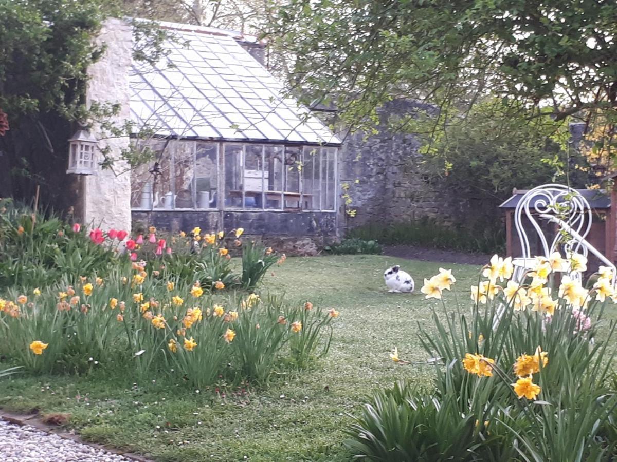 Les Lilas De Bellefontaine Bayeux Esterno foto